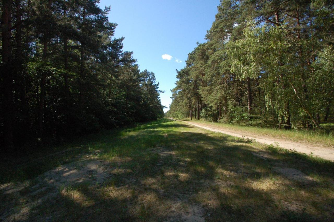 M&K Apartament Marynarski- Sobieszewo, Wyspa Sobieszewska 格但斯克 外观 照片